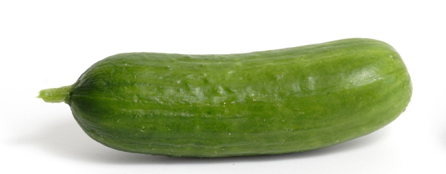 Cucumber_and_cross_section